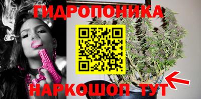 ГАЛЛЮЦИНОГЕННЫЕ ГРИБЫ Обь