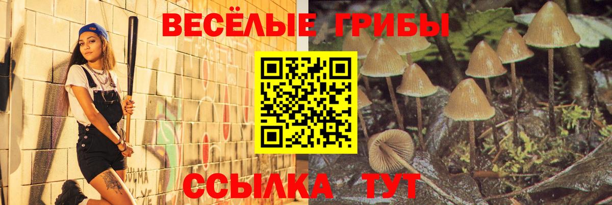 Артём  Псилоцибиновые грибы MAGIC MUSHROOMS  Вход с VPN  Галлюциногенные грибы MAGIC MUSHROOMS 